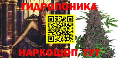 крисы Тара