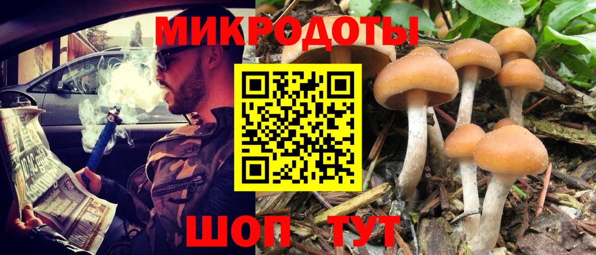 Галлюциногенные грибы прущие грибы Янаул